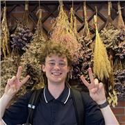 Für Anfänger: Katakana, Hiragana, einfache Kanji und grundlegende japanische Floskeln